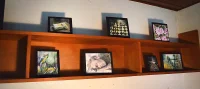 Drosophilia Komplex / Vater im alten Wohnzimmer / Papierarbeiten